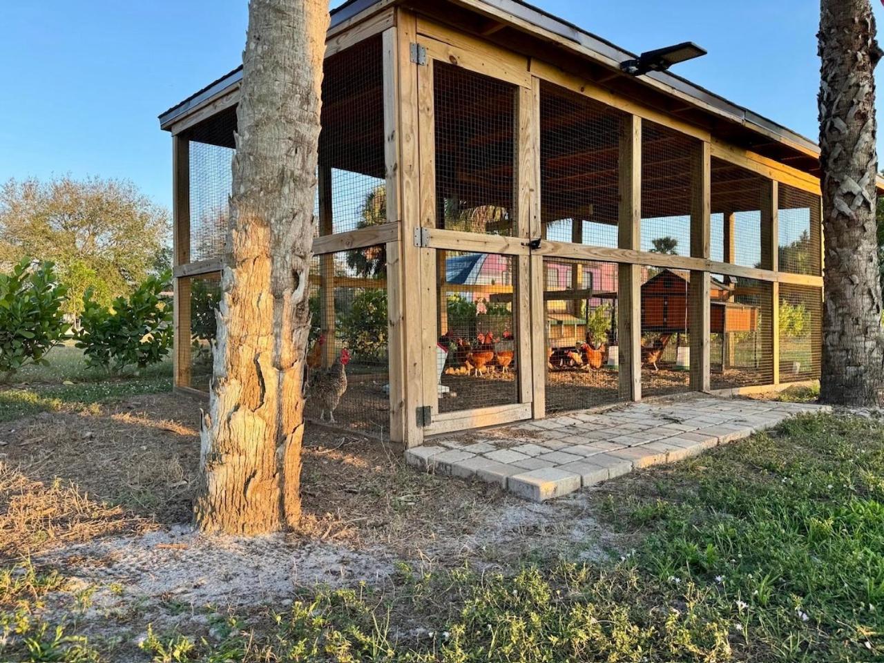 Naples Charming Cottage Orangetree Exterior foto